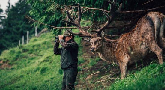 Torghele's Wald + Fluh - Familienhotel im Allgäu mit Wildgehege